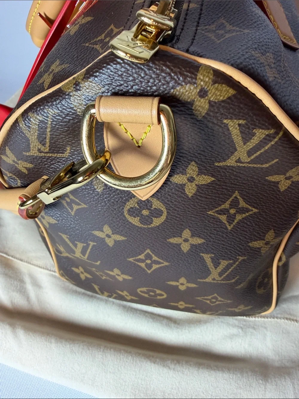 Louis Vuitton Speedy 30 Crafty